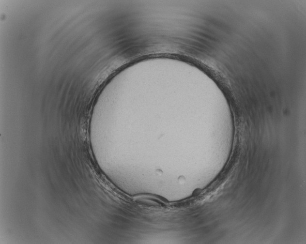 X0000088410929200706191419