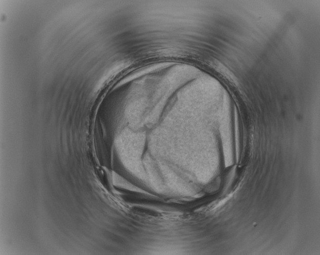 X0000088410930200706191419