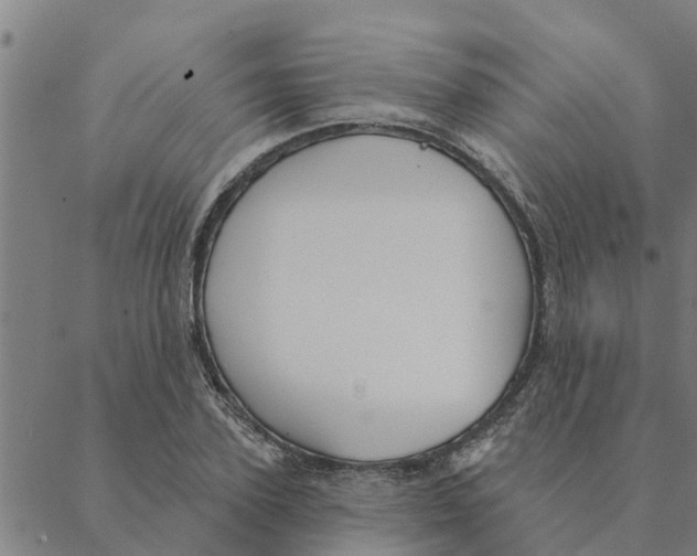 X0000088410931200706191419