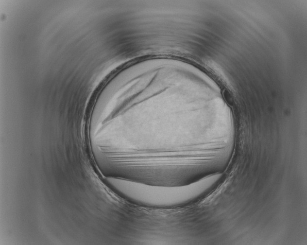 X0000088410932200706191419