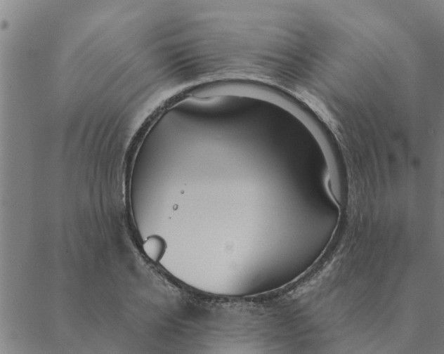 X0000088410934200706191419