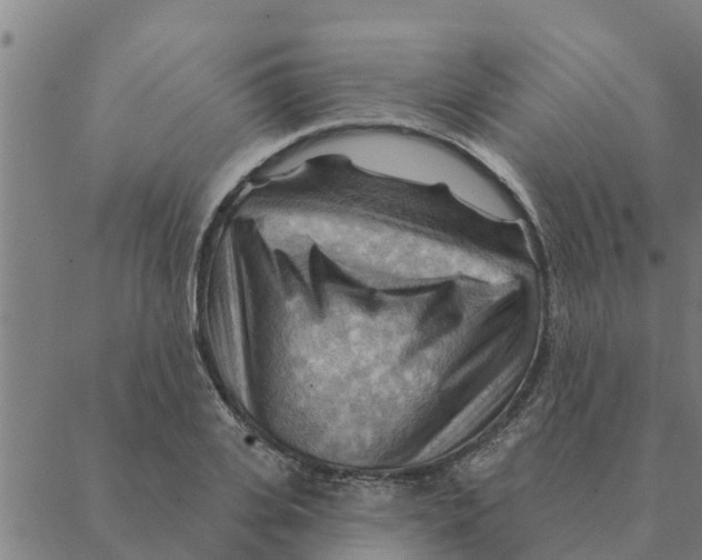 X0000088410935200706191419