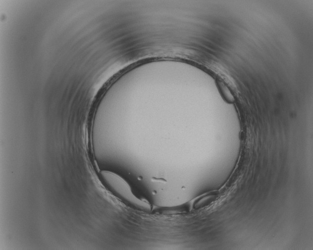 X0000088410936200706191419