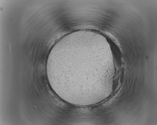 X0000088410937200706191419