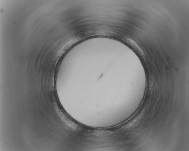 X0000088410938200706191419