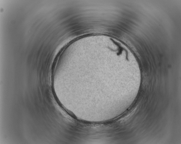 X0000088410939200706191419