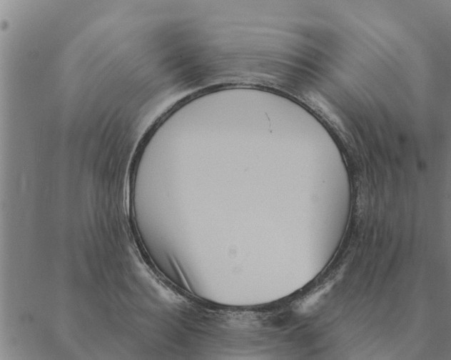 X0000088410940200706191419