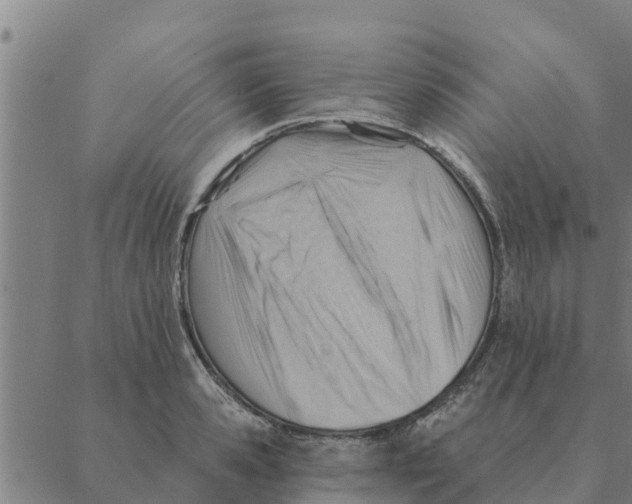 X0000088410941200706191419