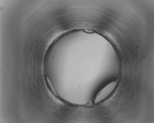 X0000088410942200706191419