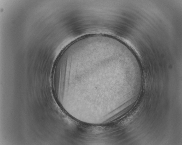 X0000088410943200706191419