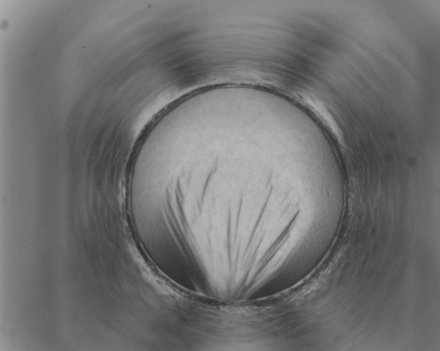 X0000088410944200706191419