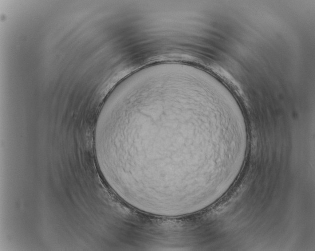 X0000088410945200706191419