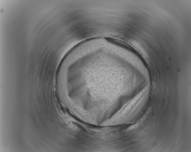 X0000088410948200706191419