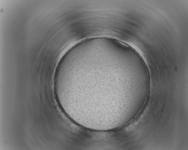 X0000088410949200706191419