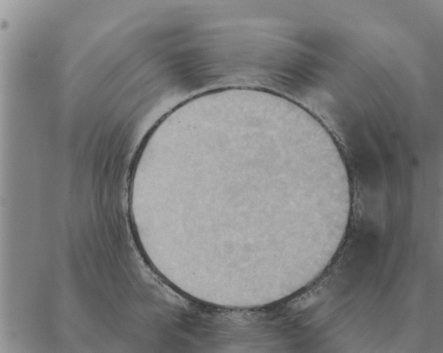 X0000088410950200706191419