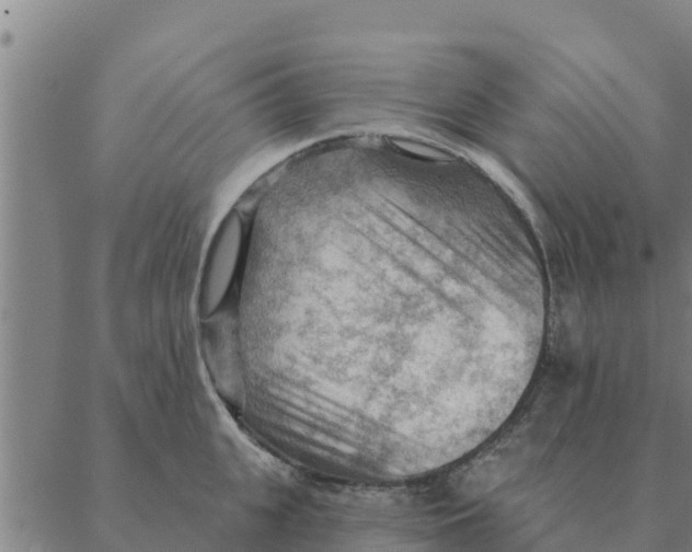 X0000088410951200706191419