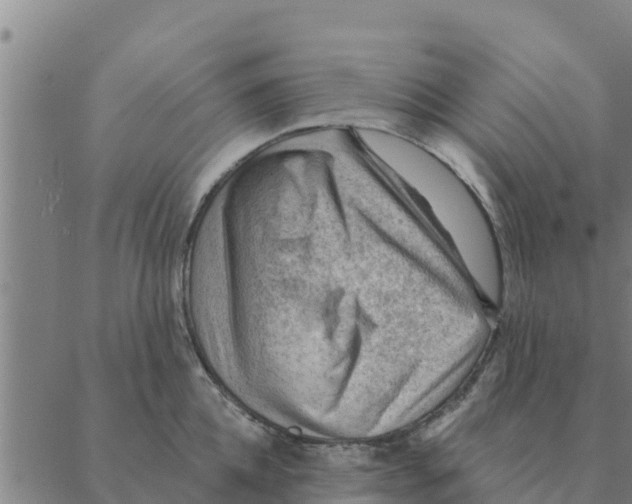 X0000088410952200706191419