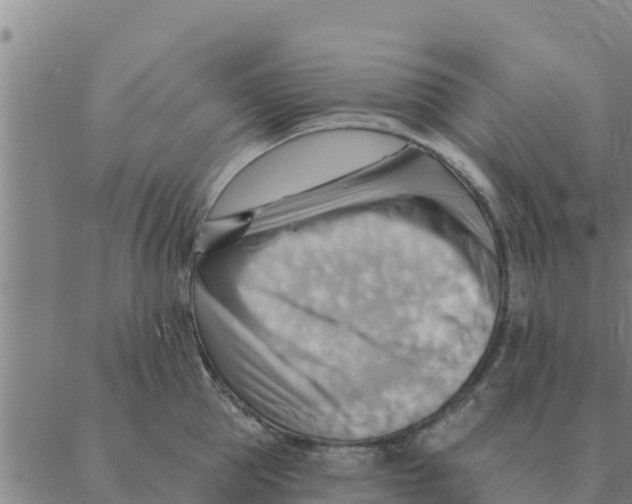 X0000088410953200706191419