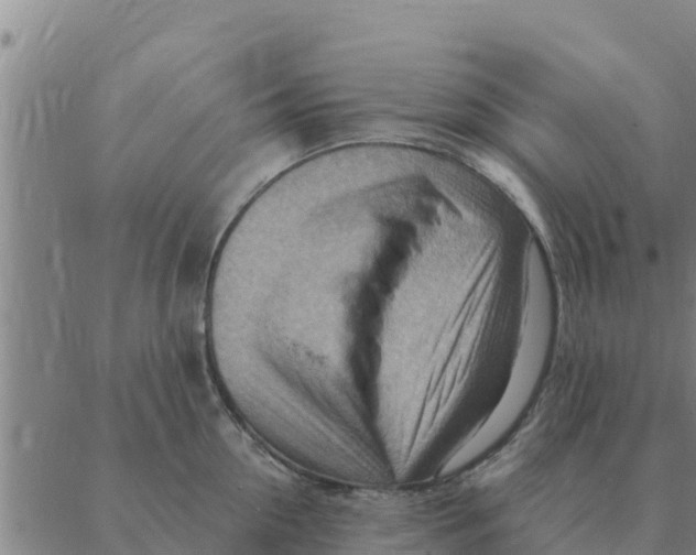 X0000088410954200706191419