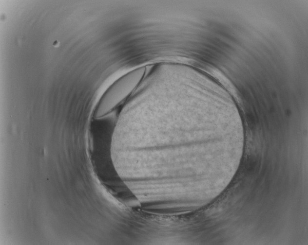 X0000088410955200706191419