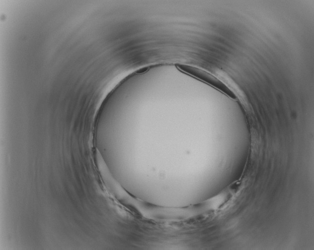 X0000088410956200706191419