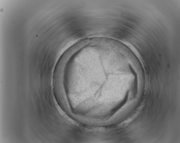 X0000088410957200706191419