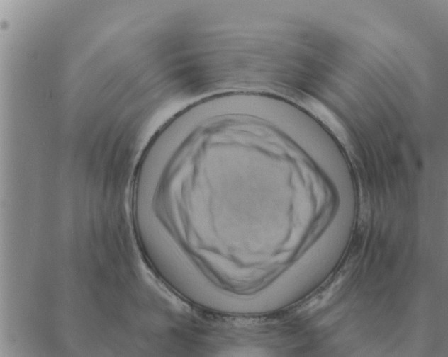 X0000088410958200706191419