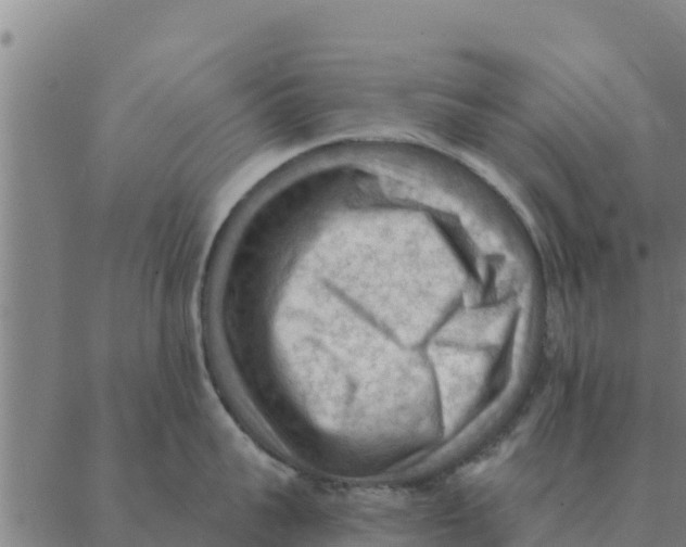 X0000088410959200706191419