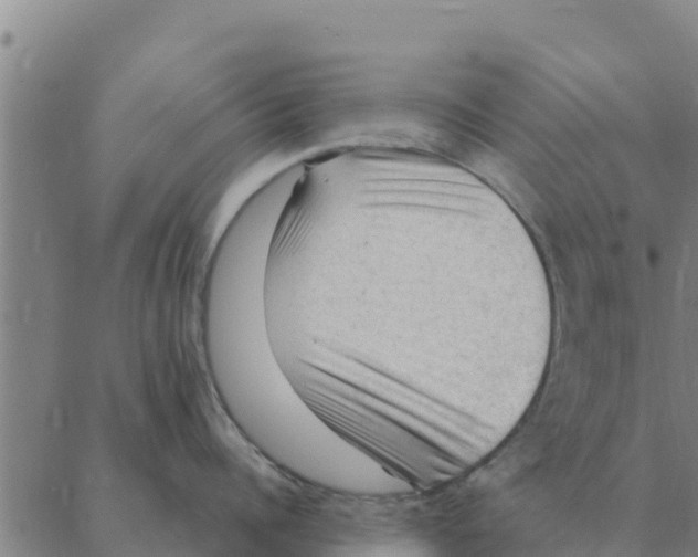 X0000088410960200706191419