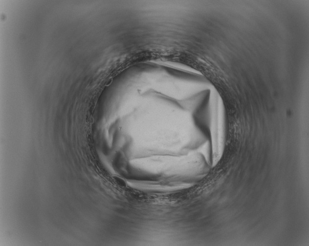 X0000088410961200706191418