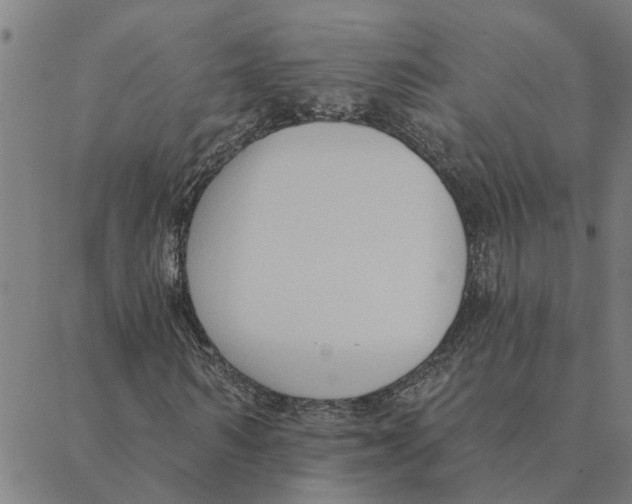 X0000088410962200706191418