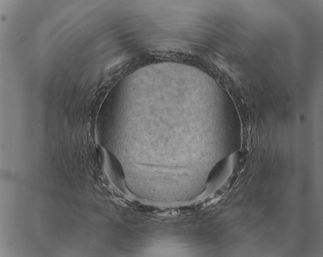 X0000088410965200706191418