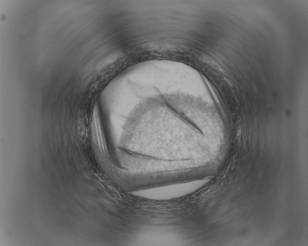 X0000088410966200706191418