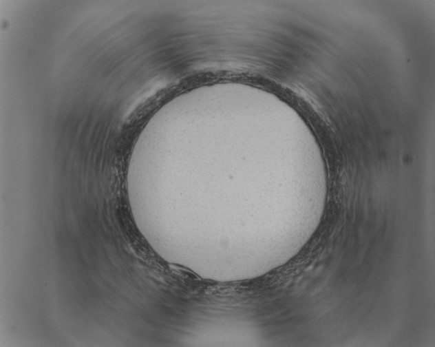 X0000088410967200706191418