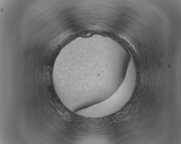 X0000088410968200706191418