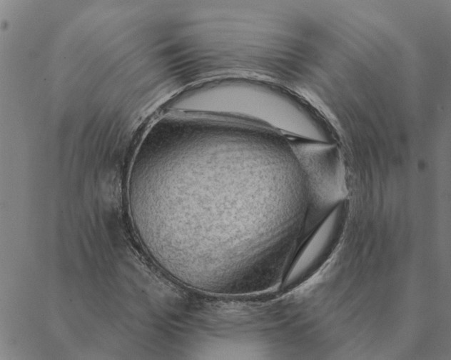 X0000088410969200706191418