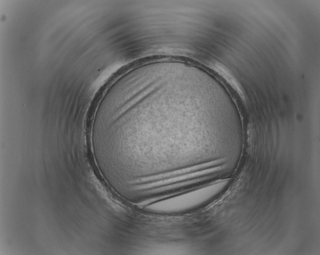 X0000088410972200706191418