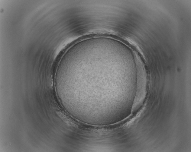 X0000088410973200706191418