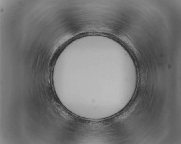 X0000088410974200706191418