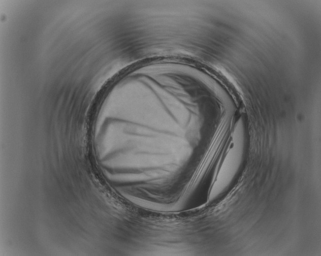 X0000088410975200706191418