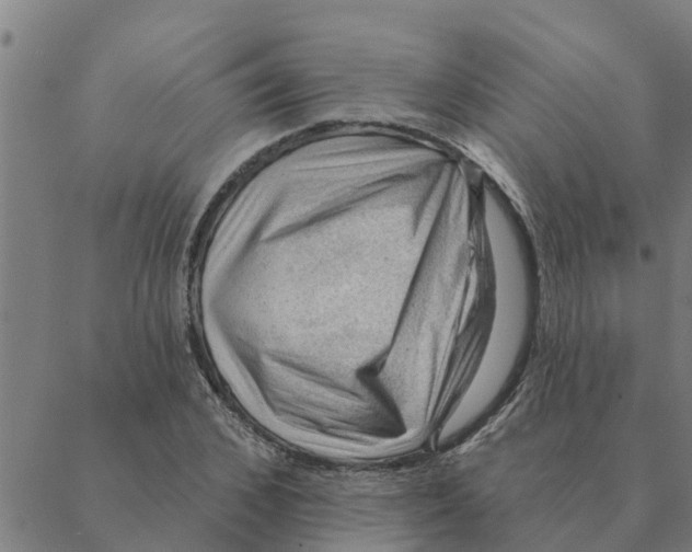 X0000088410976200706191418