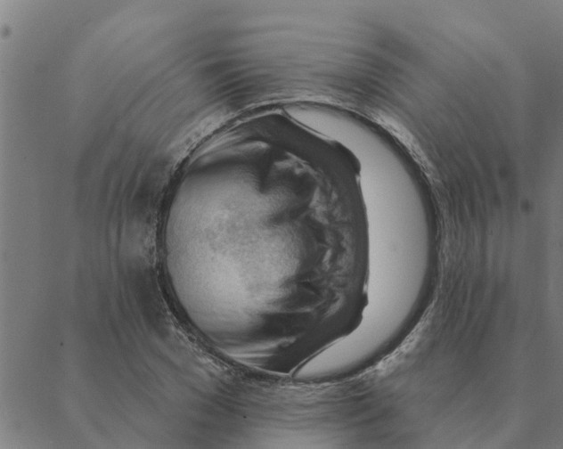 X0000088410977200706191418