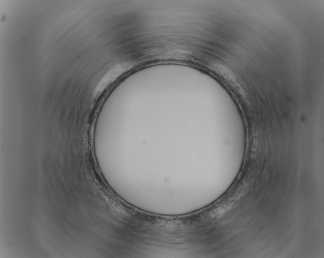 X0000088410978200706191418