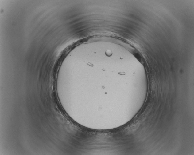 X0000088410979200706191418