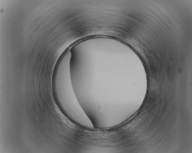 X0000088410980200706191418