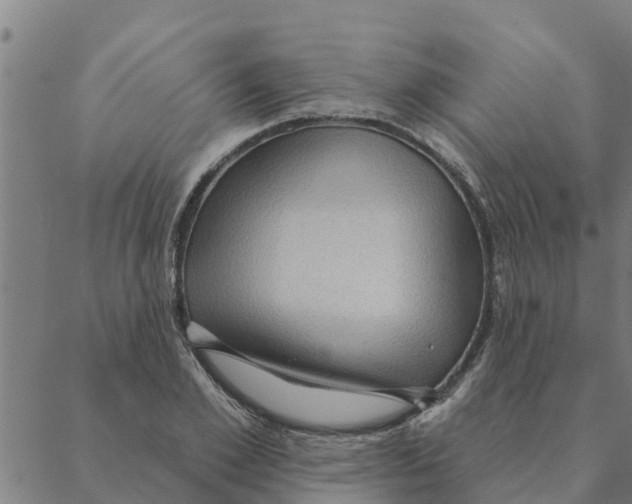 X0000088410981200706191418