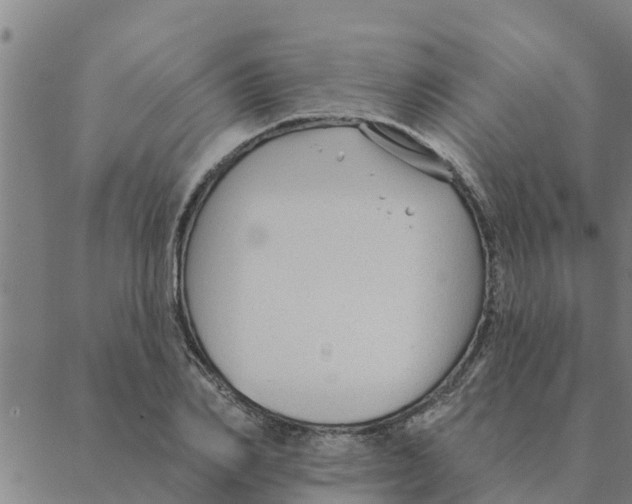 X0000088410982200706191418