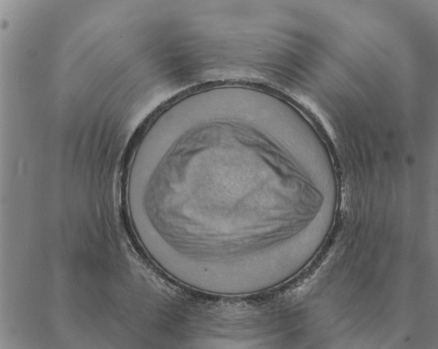 X0000088410983200706191418