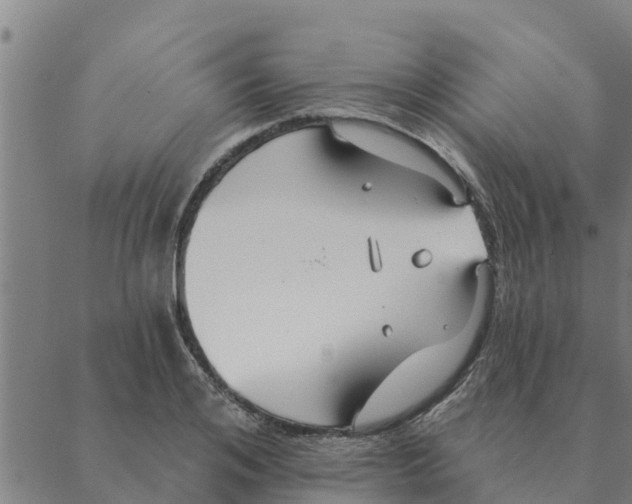 X0000088410984200706191418