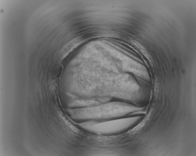 X0000088410985200706191418